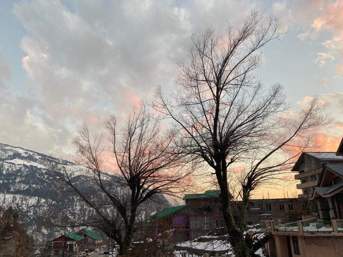 Solang Valley Resort Маналі Екстер'єр фото