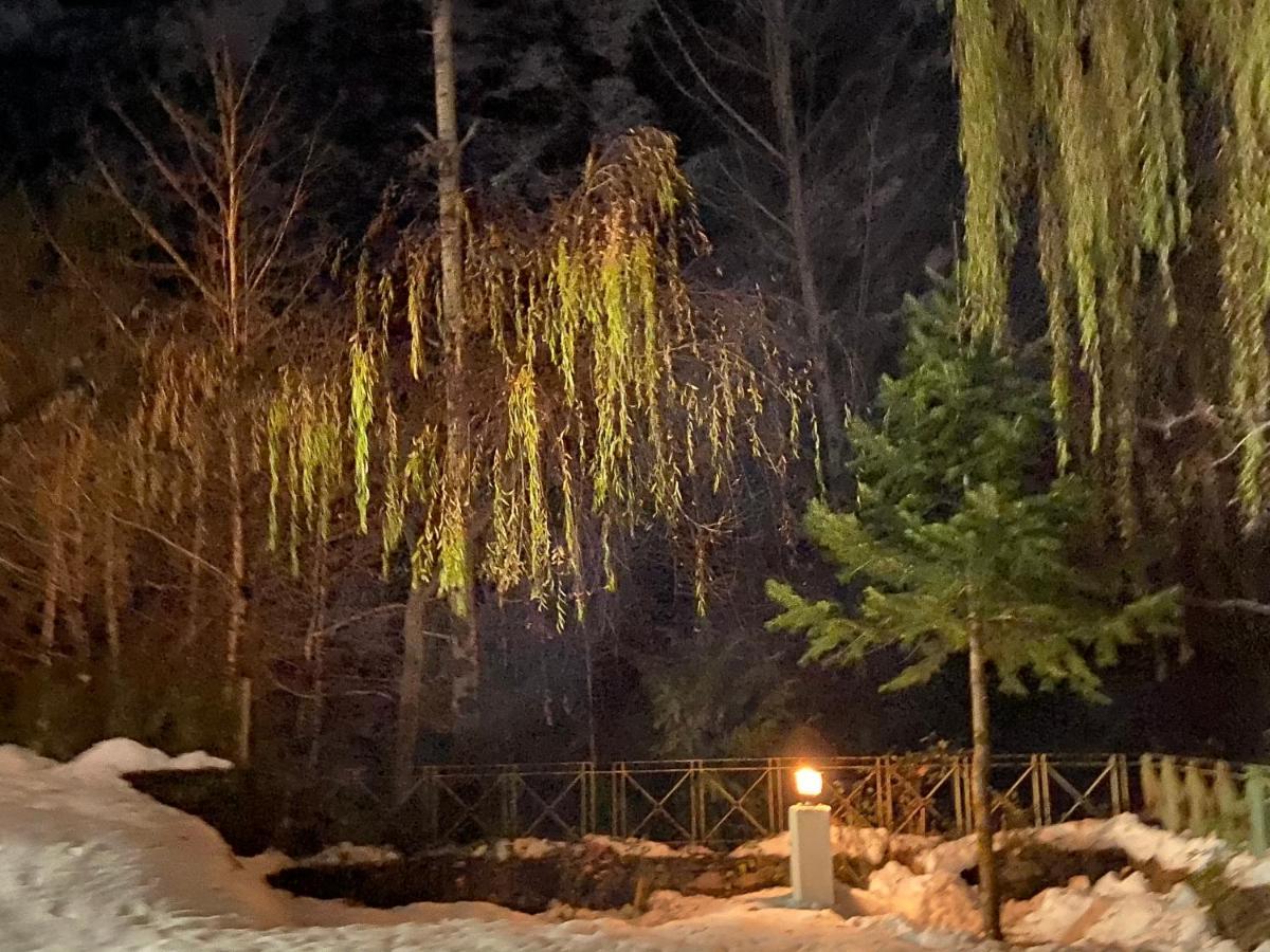 Solang Valley Resort Маналі Екстер'єр фото