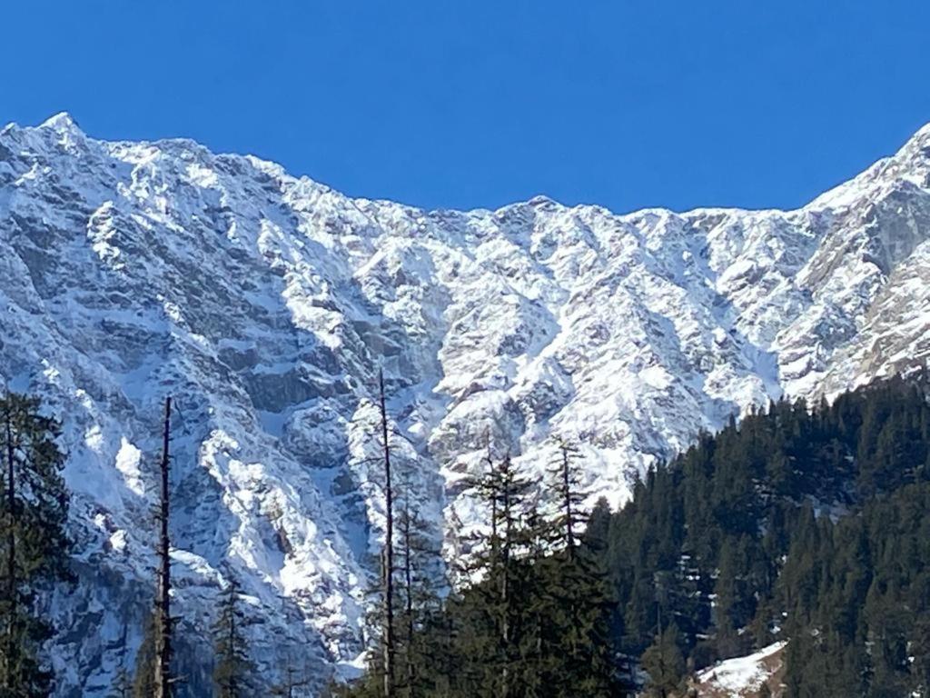 Solang Valley Resort Маналі Екстер'єр фото
